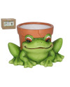 Decorative Frog Pot 17.2cm Indoor/Outdoor Use